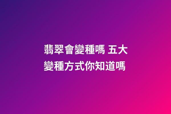 翡翠會變種嗎 五大變種方式你知道嗎